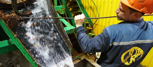 На АО Янтарный комбинат в Калининграде - 俄罗斯卫星通讯社