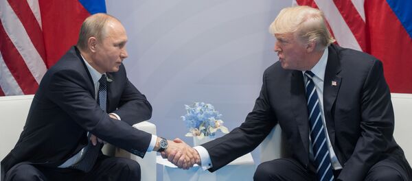 特朗普期待与普京会面 - 俄罗斯卫星通讯社