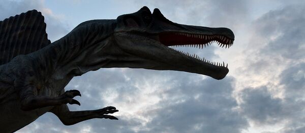 古生物學家在阿根廷發現與“波音737”大小相似的恐龍 古生物學家在阿根廷發現與“波音737”大小相似的恐龍 - 俄羅斯衛星通訊社