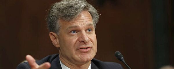 克里斯托弗·雷 - 俄罗斯卫星通讯社