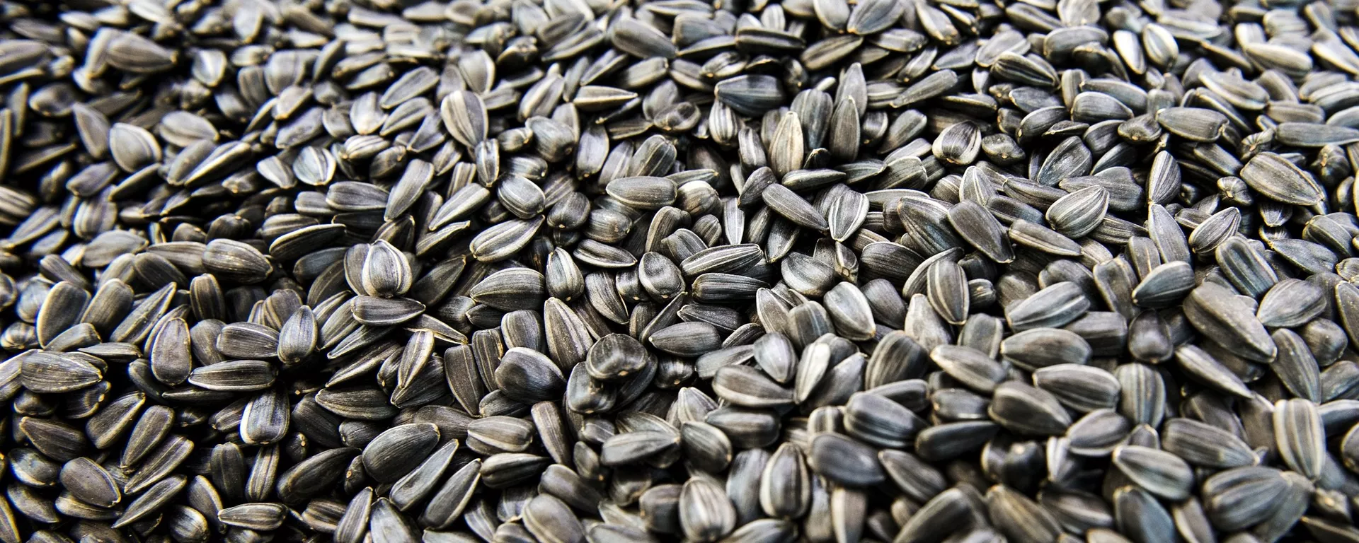 用於對華供應糧食的碼頭將於第三季度在外貝加爾斯克啓動 - 俄羅斯衛星通訊社, 1920, 07.04.2022