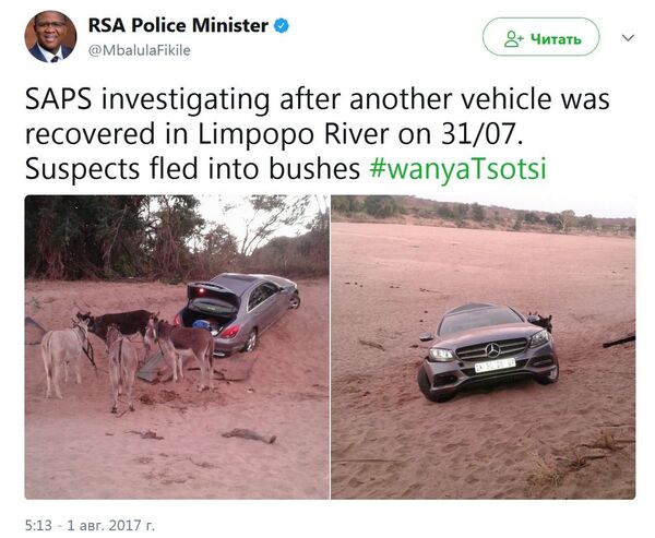 南非警方截获用驴跨国走私奔驰案 南非警方截获用驴跨国走私奔驰案 - 俄罗斯卫星通讯社