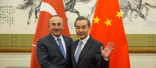 土耳其外长：土方绝不允许在土境内发生任何危害中国主权的活动 - 俄罗斯卫星通讯社