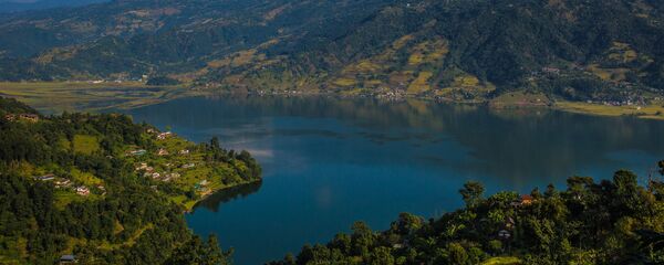 俄罗斯气候学家在西藏雪松上发现全球变暖痕迹 - 俄罗斯卫星通讯社