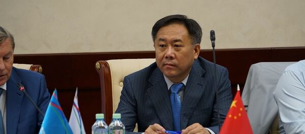 中國駐俄羅斯使館教育處公使銜參贊於繼海 - 俄羅斯衛星通訊社