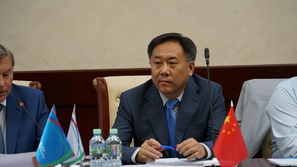 中國駐俄羅斯使館教育處公使銜參贊於繼海 - 俄羅斯衛星通訊社