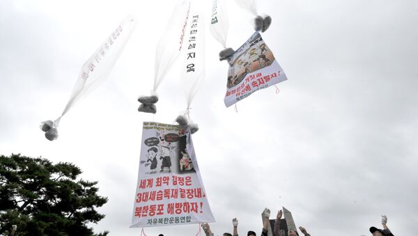 韩国国会通过《禁止散发反朝传单法》 - 俄罗斯卫星通讯社