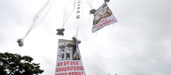 韩国国会通过《禁止散发反朝传单法》 - 俄罗斯卫星通讯社