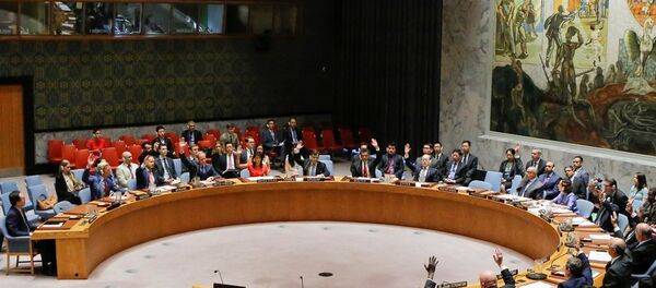 安理会 安理会 - 俄罗斯卫星通讯社