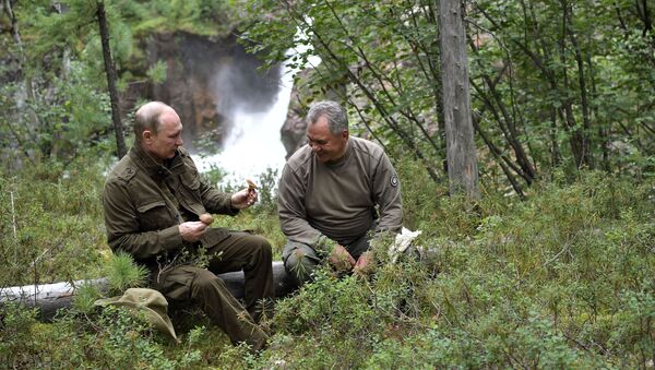 俄哈卡斯共和国领导人：普京在西伯利亚捕鱼时主要吃鱼汤和狗鱼饼 - 俄罗斯卫星通讯社