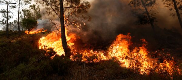 俄紧急情况部愿协助美国扑灭加州大火 - 俄罗斯卫星通讯社