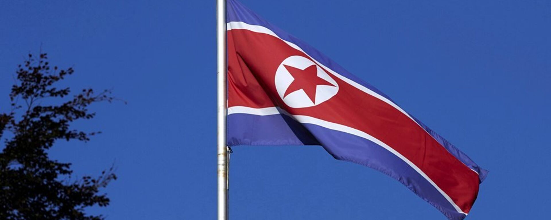 朝鮮國旗 - 俄羅斯衛星通訊社, 1920, 01.11.2023