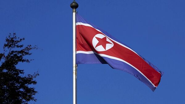 朝鮮威脅採取“物理性行動”回應聯合國新制裁 - 俄羅斯衛星通訊社