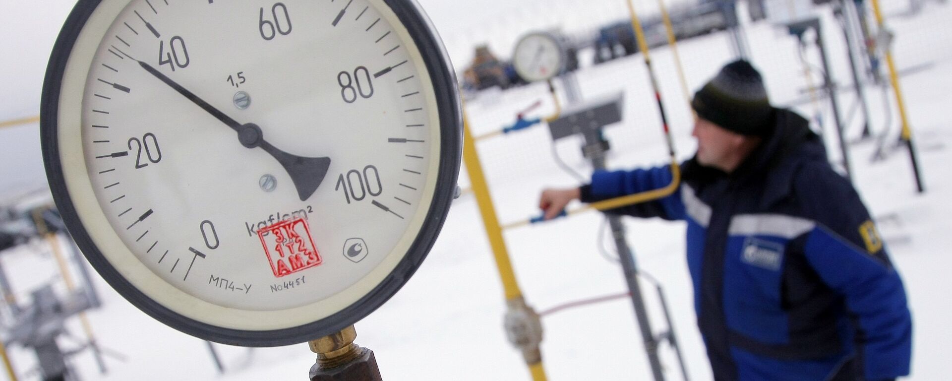 专家：塞尔维亚放弃俄天然气将导致本国人道灾难 - 俄罗斯卫星通讯社, 1920, 02.10.2025