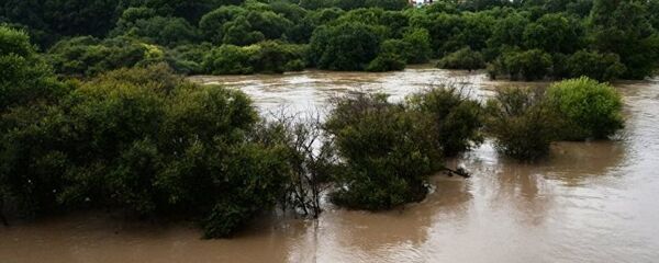 游客开始撤离俄滨海边疆区哈桑区遭暴雨被淹地区 - 俄罗斯卫星通讯社