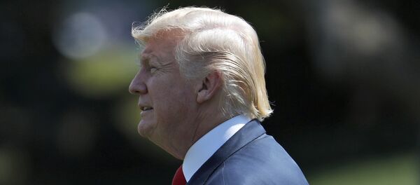 特朗普将于11月开始对亚洲进行美总统最近25年以来持续时间最长的访问 特朗普将于11月开始对亚洲进行美总统最近25年以来持续时间最长的访问 - 俄罗斯卫星通讯社