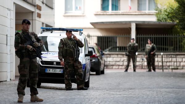 外媒：在巴黎近郊襲擊軍人的嫌疑人被捕時沒有攜帶武器 - 俄羅斯衛星通訊社