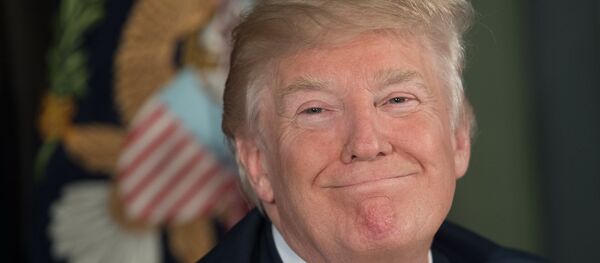 美国总统特朗普 - 俄罗斯卫星通讯社