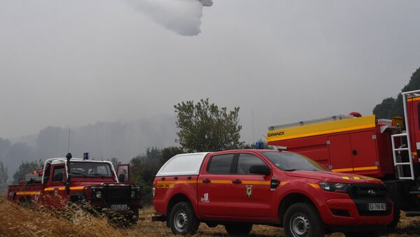 媒體：法南部自然火災導致約400人被疏散 - 俄羅斯衛星通訊社