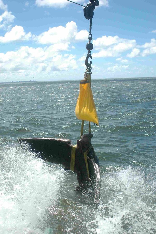 根据某些资料,铜鹰的价值在800万到5500万美元之间。 根据某些资料,铜鹰的价值在800万到5500万美元之间。 - 俄罗斯卫星通讯社