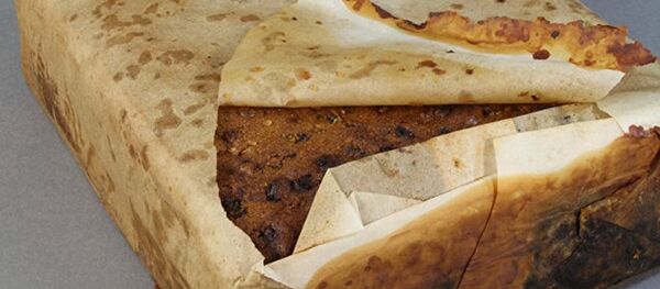 大餡餅 - 俄羅斯衛星通訊社