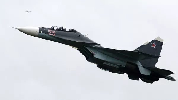 蘇-30 戰鬥機 - 俄羅斯衛星通訊社