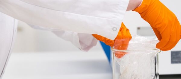 西班牙境內首次發現含殺蟲劑雞蛋 - 俄羅斯衛星通訊社