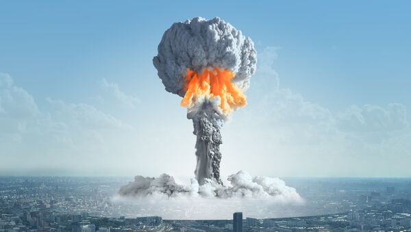 美国科学家研究模拟俄美核战争 - 俄罗斯卫星通讯社