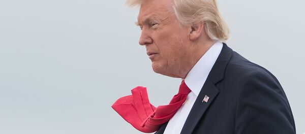 Президент США Дональд Трамп - 俄羅斯衛星通訊社