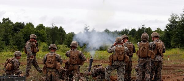 美國與埃及將舉行自2009年以來的首次聯合軍演 - 俄羅斯衛星通訊社