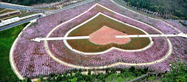 贵州省副省长：今年上半年贵州旅游收入3140亿元人民币 - 俄罗斯卫星通讯社