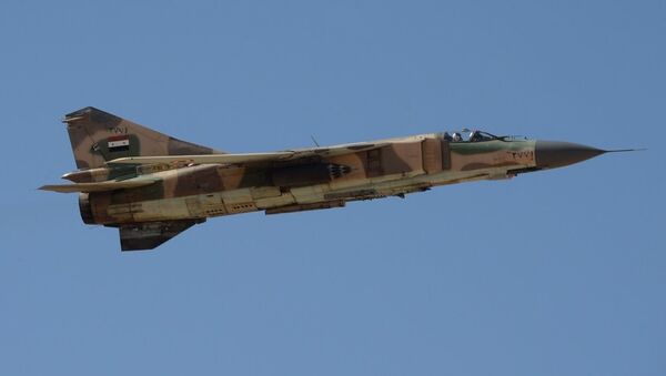 消息人士：一架敘利亞軍機在蘇韋達省境內墜毀 - 俄羅斯衛星通訊社