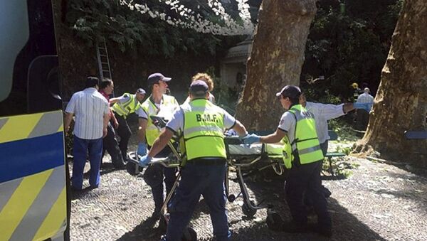 葡萄牙馬德拉群島樹木倒落已造成12人遇難 50人受傷 - 俄羅斯衛星通訊社