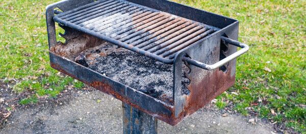 媒體：比利時人創造不間斷BBQ烤肉世界紀錄 - 俄羅斯衛星通訊社