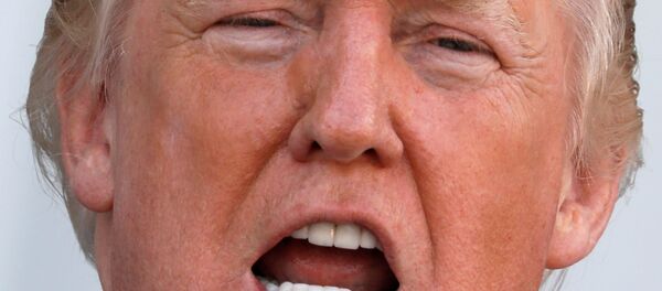 特朗普談攻擊朝鮮的可能性：“走著瞧” - 俄羅斯衛星通訊社