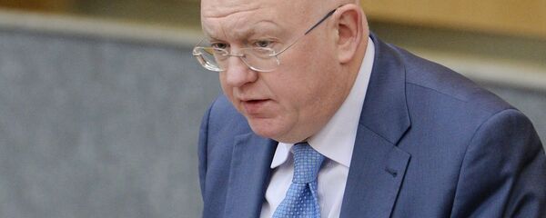 涅边贾 - 俄罗斯卫星通讯社