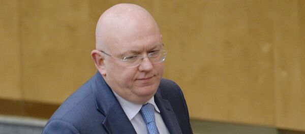 涅邊賈 - 俄羅斯衛星通訊社