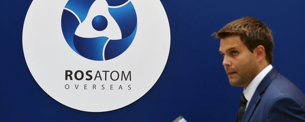 俄原子能集團希望在五年內實現國外收入翻番 達150億美元 俄原子能集團希望在五年內實現國外收入翻番 達150億美元 - 俄羅斯衛星通訊社