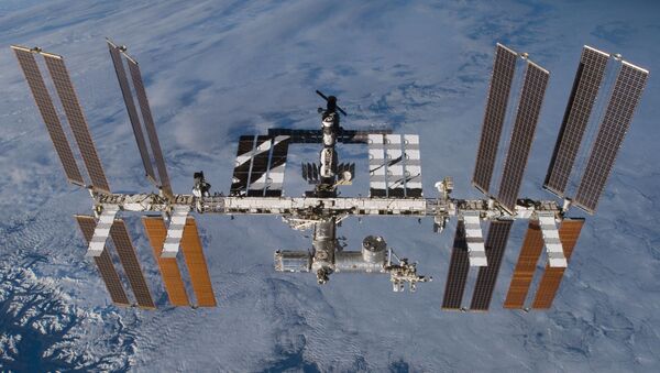 美歐宇航員將於9月完成進行太空行走 - 俄羅斯衛星通訊社