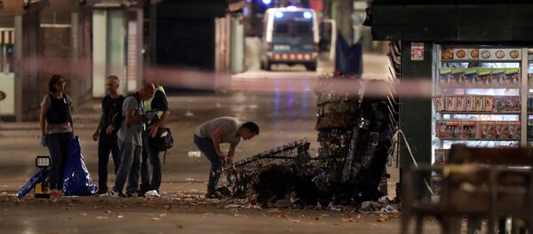 欧洲恐袭与战胜“伊斯兰国”：2017年总结（下） - 俄罗斯卫星通讯社