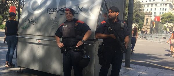 西班牙驻俄大使：西班牙望继续与俄方一道共同打击恐怖主义 - 俄罗斯卫星通讯社