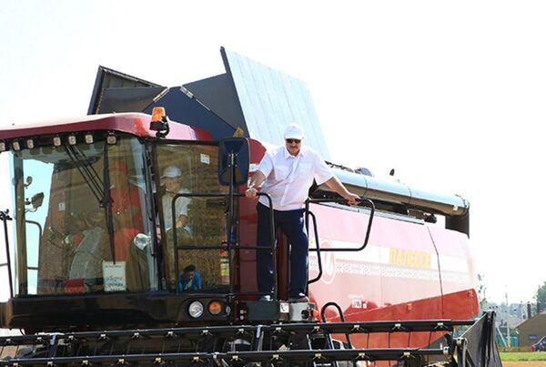 卢卡申科 - 俄罗斯卫星通讯社