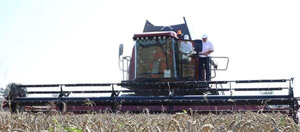 卢卡申科 - 俄罗斯卫星通讯社