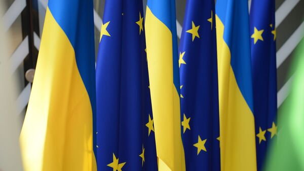 法國外交部：烏克蘭加入歐盟恐需15年之久 - 俄羅斯衛星通訊社