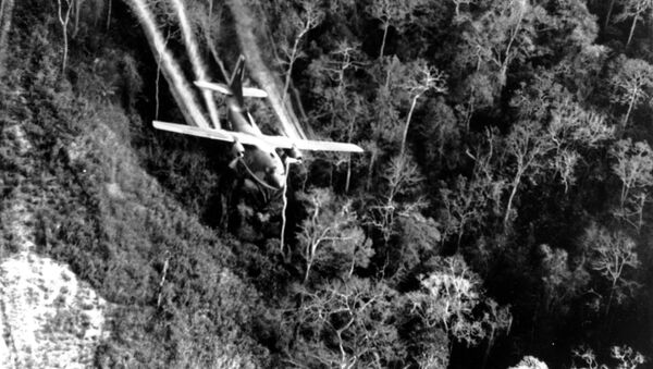 6名越南人在拆除越戰期間的美國炸彈時被炸死 - 俄羅斯衛星通訊社