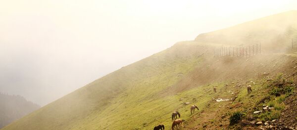 高加索山 - 俄罗斯卫星通讯社
