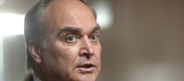 Заместитель министра иностранных дел РФ Анатолий Антонов во время посещения Государственной Думы РФ - 俄羅斯衛星通訊社