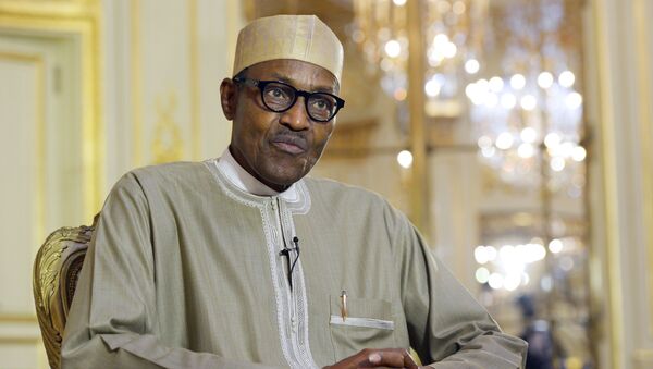 尼日利亚总统对推迟选举表示失望并呼吁保持冷静 - 俄罗斯卫星通讯社