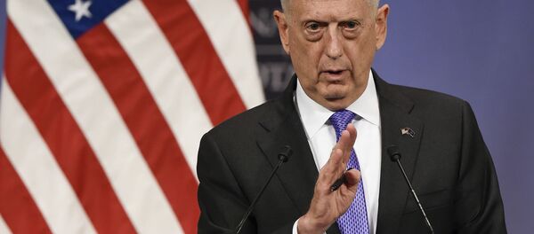 马蒂斯 - 俄罗斯卫星通讯社