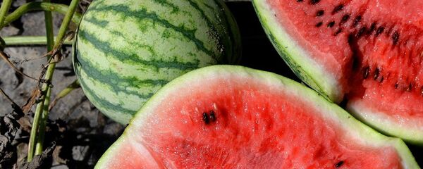 西瓜 - 俄罗斯卫星通讯社